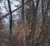 Šuma br. 2, Lemerje, 9201 Puconci