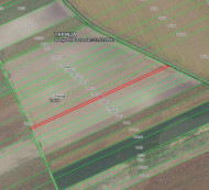 Poljoprivredno zemljište br. 5, Trpinja, 32224 Trpinja