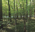 Šuma, Krplivnik, 9205 Hodoš