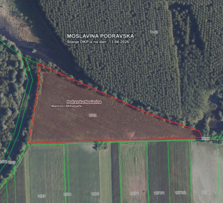 Poljoprivredno zemljište br. 1, Martinci Miholjački, 31530 Podravska Moslavina