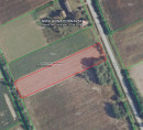 Poljoprivredno zemljište br. 4, Martinci Miholjački, 31530 Podravska Moslavina