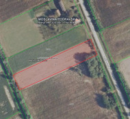 Poljoprivredno zemljište br. 4, Martinci Miholjački, 31530 Podravska Moslavina