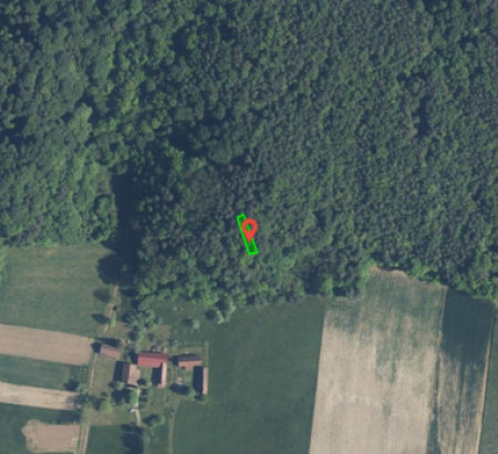 Šuma br. 3, Adrijanci, 9203 Petrovci