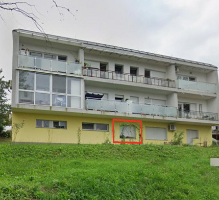 Podrum, Rozmanova ulica, 6000 Koper