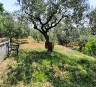 Građevinsko zemljište, Hrvatini, 6280 Ankaran