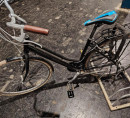 Ženski bicikl MBM Sport Saddle, muški bicikl Pinarello