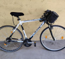 Bicikl X-Fact Cross Trail, ženski bicikl Rog Cruiser