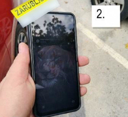 Mobilni telefon Xiaomi Poco M4 Pro 5G