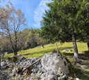 Poljoprivredna zemljišta, šuma - u udjelu ½, 5231 Log pod Mangartom