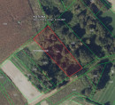 Šuma, Glavna ulica, Kotlina, 31309 Kneževi Vinogradi