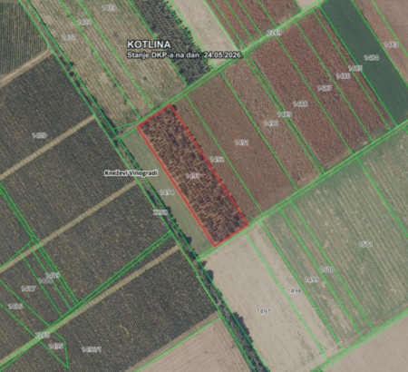 Poljoprivredno zemljište, Kotlina, 31309 Kneževi Vinogradi