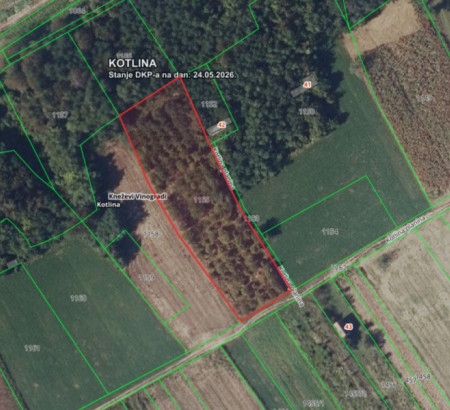 Šuma br. 1, Kotlina planina, Kotlina, 31309 Kneževi Vinogradi
