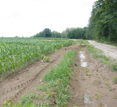 Poljoprivredno zemljište br. 1, Satahovci, 9000 Murska Sobota