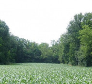 Poljoprivredno zemljište - u udjelu ¼, Satahovci, 9000 Murska Sobota