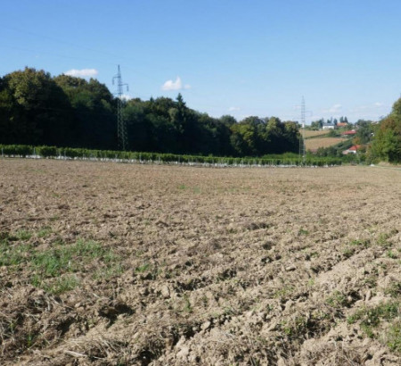 Poljoprivredno zemljište, Mekotnjak, 9240 Ljutomer
