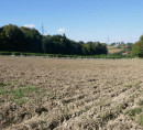 Poljoprivredno zemljište, Mekotnjak, 9240 Ljutomer