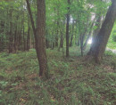 Šuma, Mekotnjak, 9240 Ljutomer