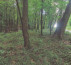 Šuma, Mekotnjak, 9240 Ljutomer