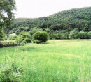 Građevinsko zemljište, poljoprivredno zemljište - u udjelu ½, Streliška cesta, 2000 Maribor