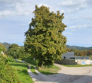 Građevinsko zemljište, poljoprivredno zemljište, Jakhljeva ulica, 1260 Ljubljana - Polje