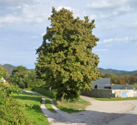 Građevinsko zemljište, poljoprivredno zemljište, Jakhljeva ulica, 1260 Ljubljana - Polje