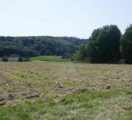 Poljoprivredno zemljište, Terbegovci, 9244 Sveti Jurij ob Ščavnici