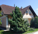 Kuća - u udjelu ½, Črmošnjice, 8333 Semič