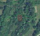 Šuma br. 4, Roč, 52425 Roč
