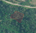 Šuma br. 6, Roč, 52425 Roč