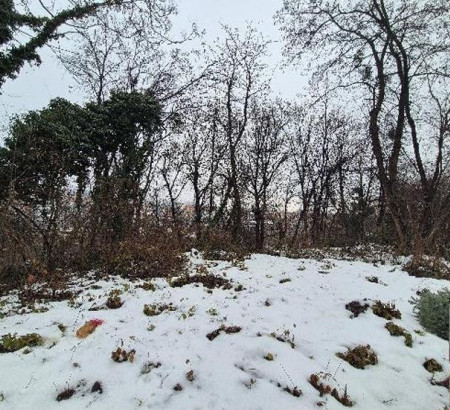 Građevinsko zemljište, Ruška cesta, 2000 Maribor