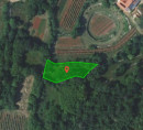 Poljoprivredno zemljište br. 1, Veliki Dol, 6221 Dutovlje