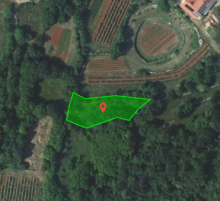 Poljoprivredno zemljište br. 1, Veliki Dol, 6221 Dutovlje