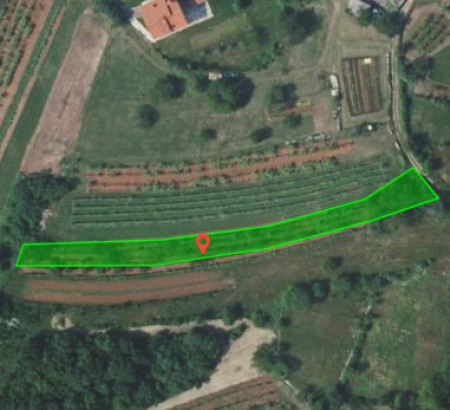 Poljoprivredno zemljište br. 2, Veliki Dol, 6221 Dutovlje