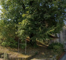 Građevinsko zemljište, Čehovini, 6222 Štanjel