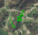 Poljoprivredna zemljišta, šume, Trščina, 8295 Tržišče