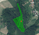 Šuma, poljoprivredno zemljište, Lahonci, 2259 Ivanjkovci