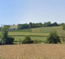 Poljoprivredno zemljište, Libanja, 2259 Ivanjkovci
