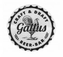 Robna marka: Gallus Craft & Draft Beer - Bar
