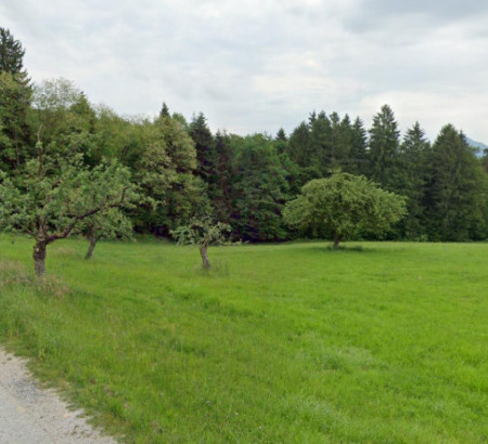 Poljoprivredno zemljište, šuma - u udjelu ½, Ličenca, 3215 Loče