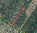 Poljoprivredno šumsko zemljište br. 2, Kolan, 23251 Kolan, Otok Pag