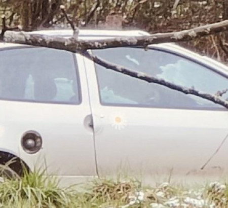 Renault Twingo 1.2, godina 1. reg. 1999