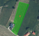 Poljoprivredno zemljište, građevinsko zemljište - u udjelu 10/4342, Murski Vrh, 9252 Radenci