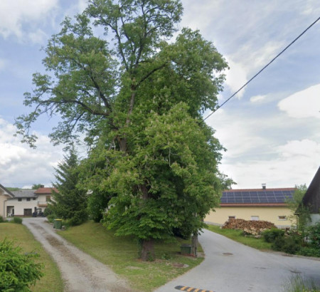 Građevinsko zemljište, Ponikve, 1312 Videm - Dobrepolje