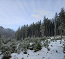 Šuma, poljoprivredno zemljište - u udjelu ¼, Slamniki, 4263 Bohinjska Bela