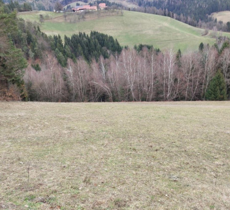 Šuma, poljoprivredno zemljište, Vrhe, 2380 Slovenj Gradec