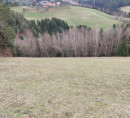 Šuma, poljoprivredno zemljište, Vrhe, 2380 Slovenj Gradec
